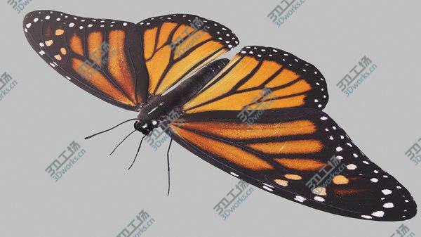 images/goods_img/20210312/Butterfly Collection 3D model/4.jpg